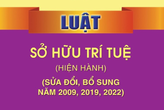 Critical commentary on redundancy of article 74.2(l) – IP Law of Vietnam